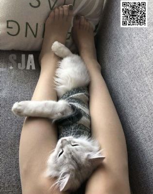 爱与激情电影_BD韩语HD高清在线观看