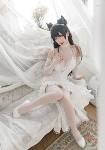亮剑电视剧40集免费观看_4K动漫在线观看